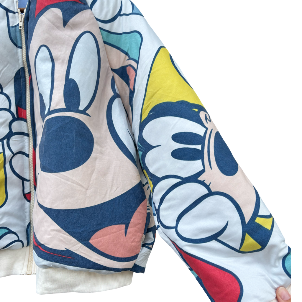 Mickey en Goofy - bomber