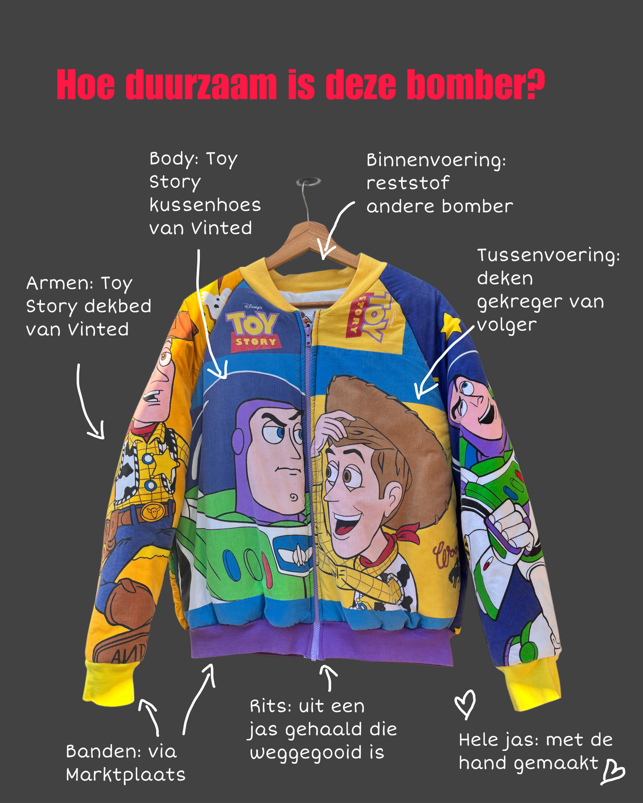 Bomber -  Toy Story mix paarse rits